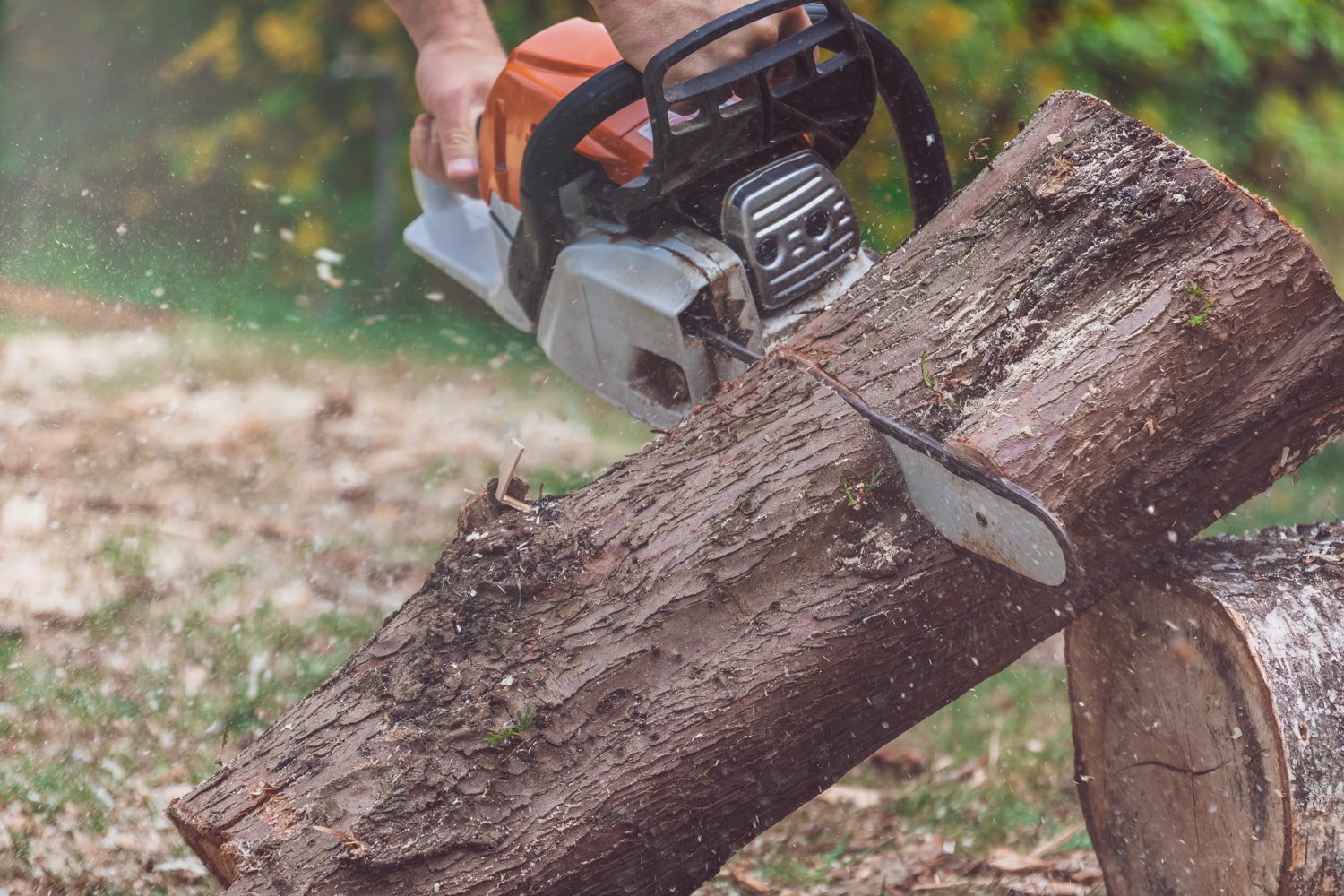 Erfarne fagfolk fra Lillestrøm Trefelling & Utemiljø utfører trefelling på Kløfta